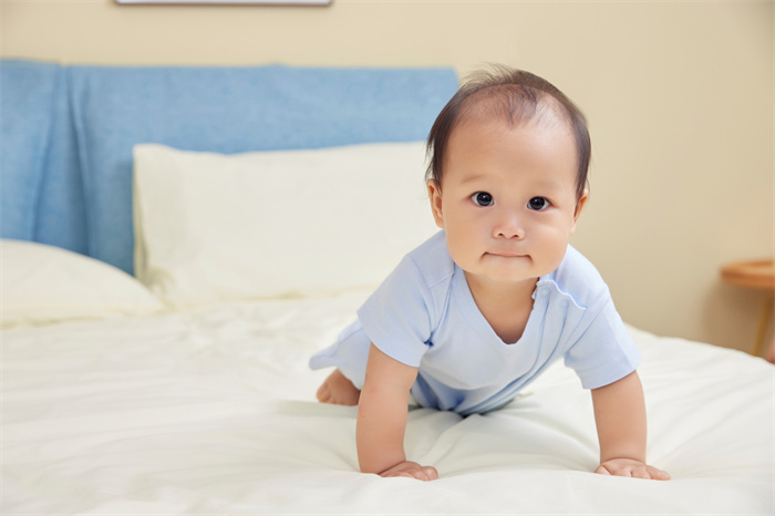 1647941947215378.jpg 25.jpg